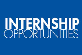 Internship Image